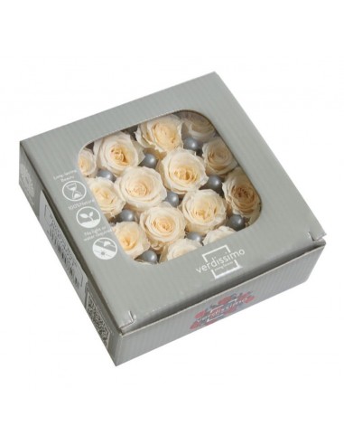 Rosa preservada mini Princes Rose - color champagne