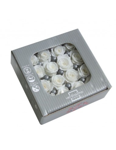 Rosa preservada mini Princes Rose - color Blanco