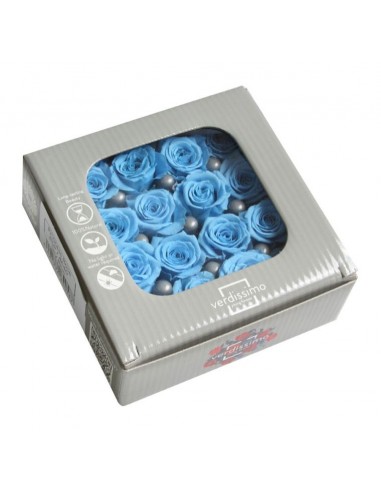 Rosa preservada mini princes azul cielo x16