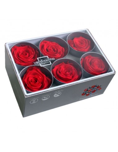 Rosa preservada extra 6 unidades rojo
