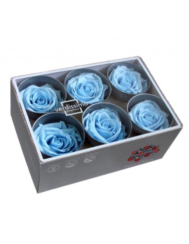 Rosa preservada extra 6UD sky blue