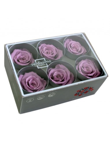 Rosa preservada extra 6 UD Lila