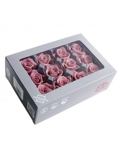 Rosa preservada Cherry Blossom / Flor de cerezo. Pack 12Unidades.