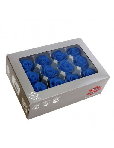 Rosa mini x12 azul oscuro