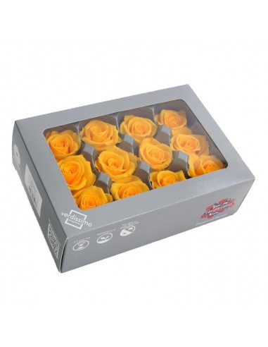 Pack 12 rosas preservadas mini