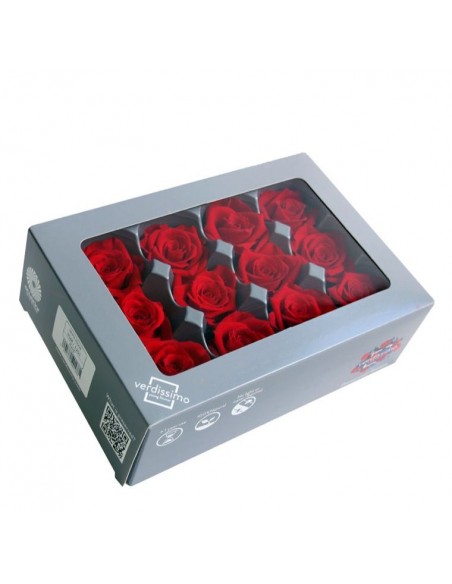 Rosa mini x12. roja