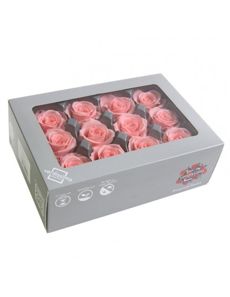 Rosa mini x12 bridal pink