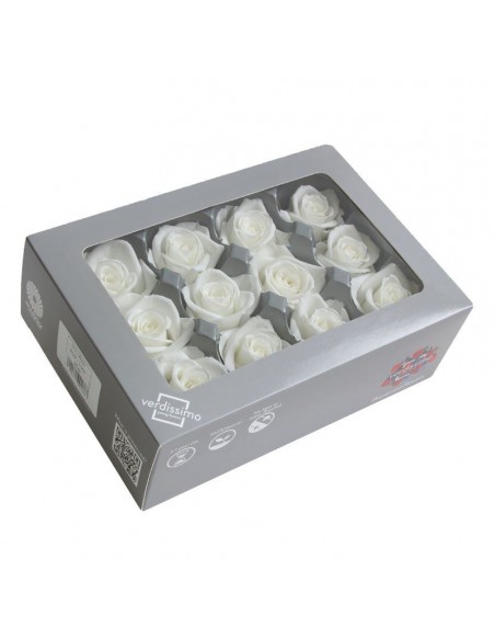 Rosa mini preservada blanco x12