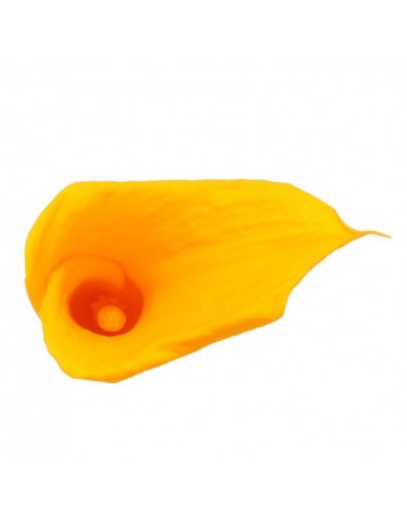Mini Calla preservada amarilla