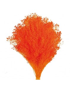 Ramo de brooms preservado naranja claro 100g