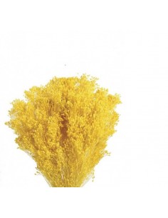Ramo de brooms preservado amarillo claro 100g