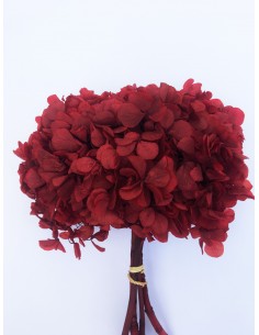 hortensia preservada color Vino