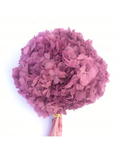 Hortensia preservada rosa pastel