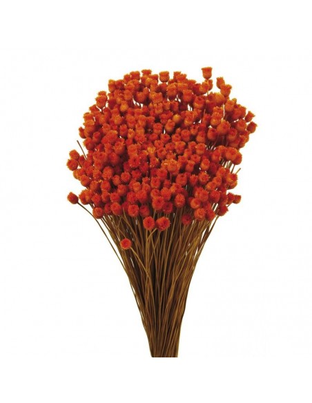 Jazilda color naranja 50cm