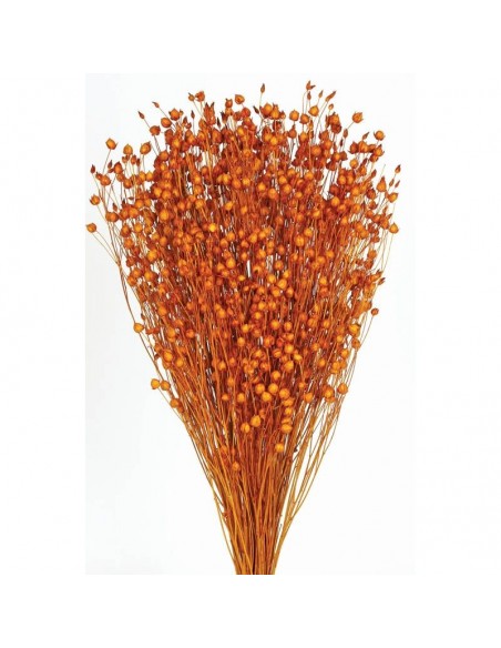 Lino naranja oscuro 200g