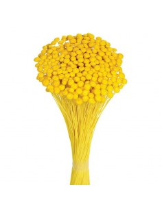 Amarelino color amarillo 45cm 120g