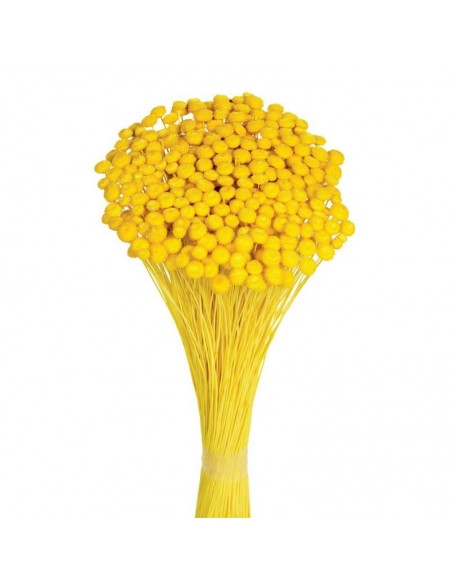 Amarelino color amarillo 45cm 120g