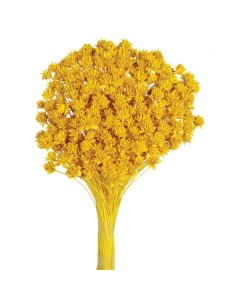 Hill flowers amarillo 45cm