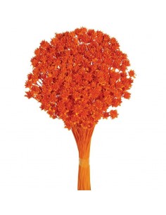 Hill flowers naranja 45cm
