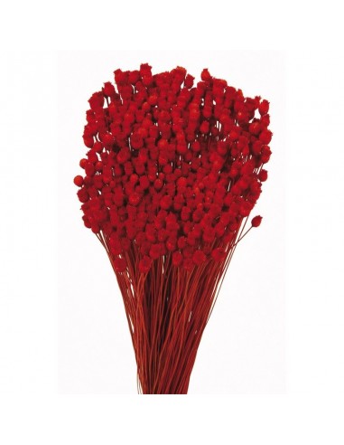 Jazilda color rojo 50cm 100g