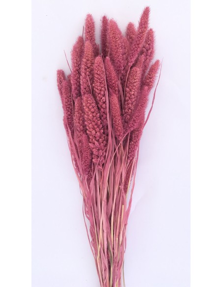 Setaria 75cm rosa oscuro 180g