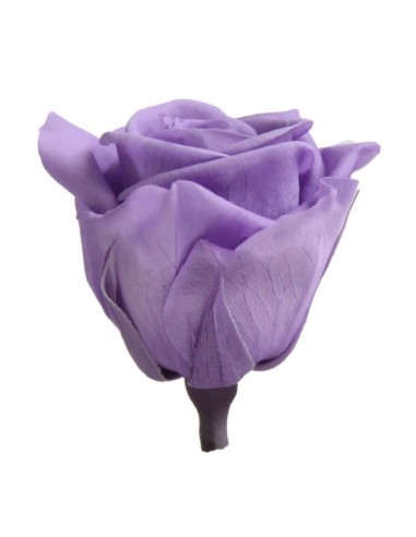 Pack 12 rosas preservadas mini