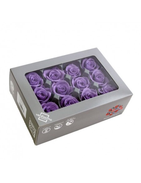 Pack 12 rosas preservadas mini