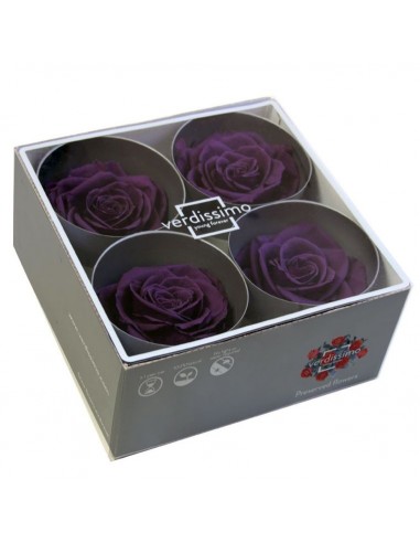 Rosa premium Cherry Blossom 4 ud