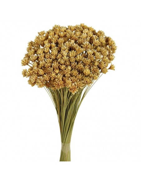 Hill flowers natural 45cm