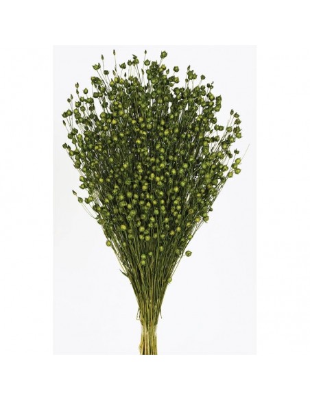 Lino naranja verde oscuro 200g