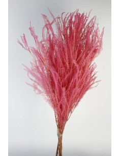 Helecho x3 preservado color Rosa Chicle