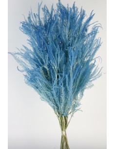 Helecho x3 preservado color Azul