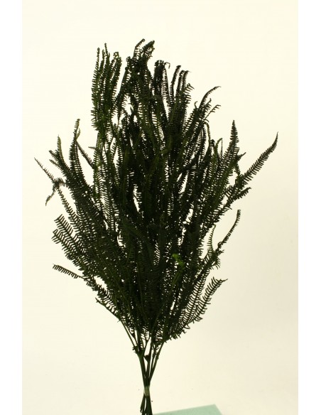 Helecho x3 preservado color Verde