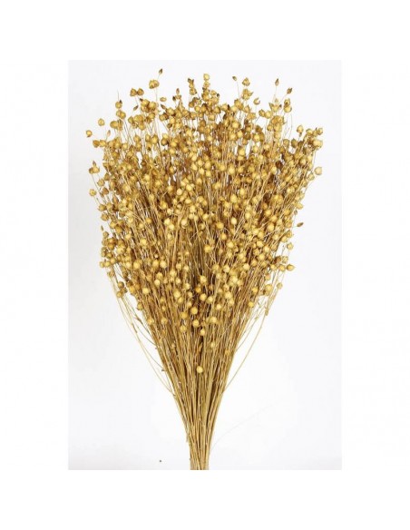 Lino naranja natural 150g