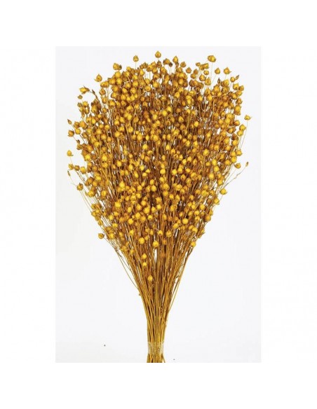 Lino naranja mostaza 150g