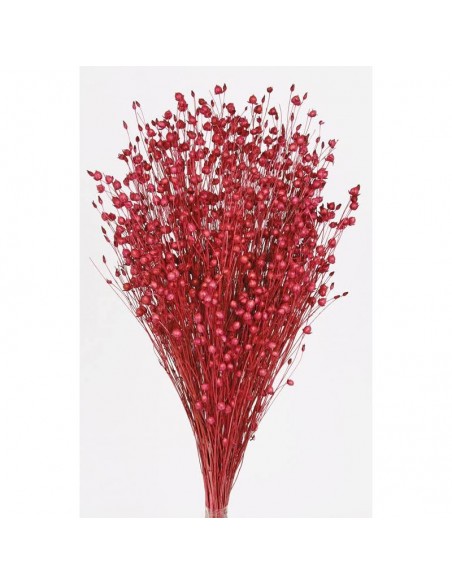 Lino naranja fucsia 150g