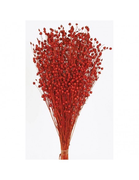 Lino naranja rojo 150g