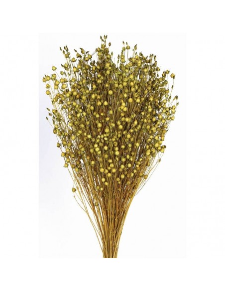 Lino naranja verde claro 150g