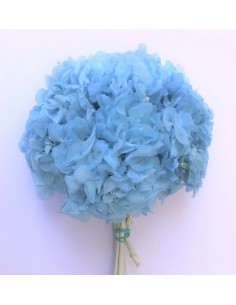 Hortensia preservada Azul cielo