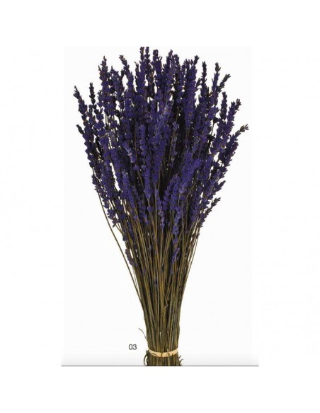 Lavanda preservada