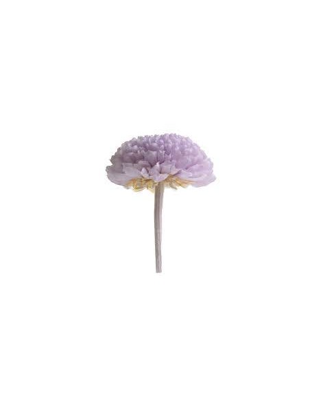 Crisantemo focus mini lila , Caja 8 unidades