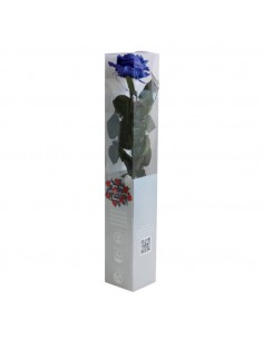Rosa preservada Premium Azul Royal Verdissimo