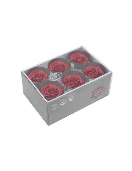 Rosa preservada extra 6 unidades cherry blossom