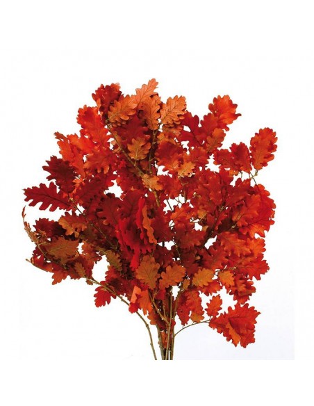 Kercus extra  preservado burdeos