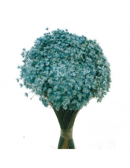 Marcela azul cielo 30cm 50g