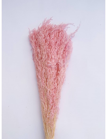 Munni color rosa pastel