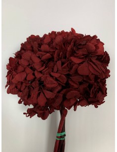 Hortensia preservada rojo oscuro