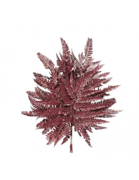 Hoja de helecho Islandes x10 preservado Burdeos
