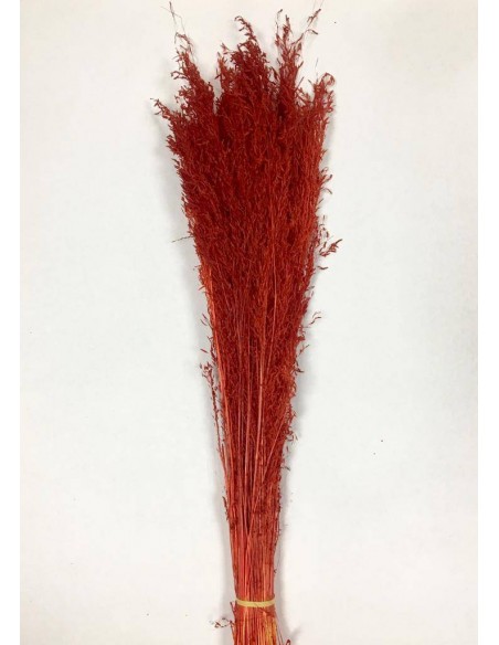 Munni color rojo