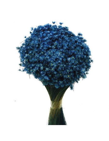 Marcela azul celeste 30cm 50g